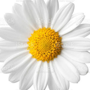 Meet your Posher, Ayla